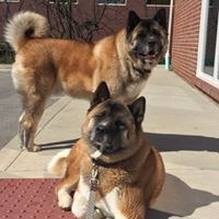 Mika Kenzo Kathy And Chris